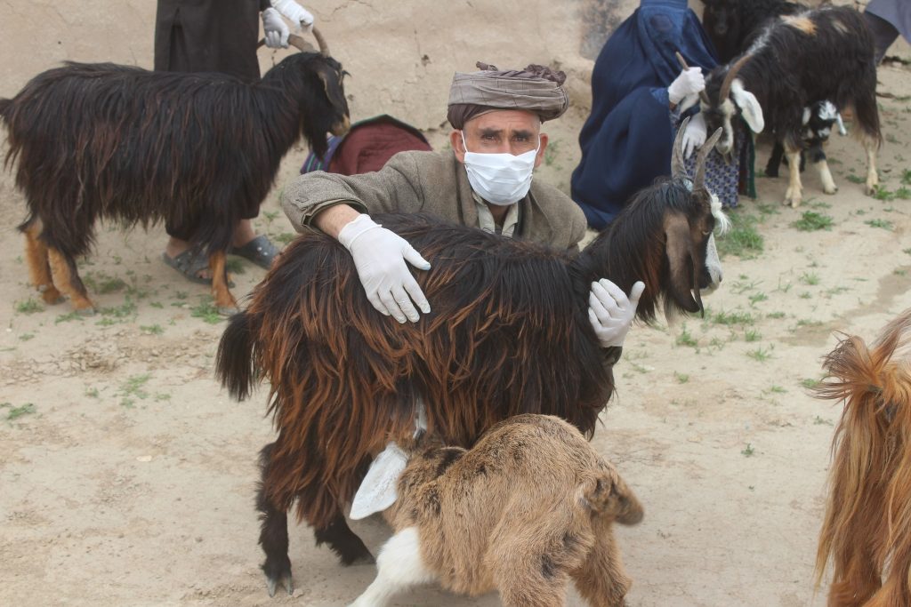 Sustainable Livelihoods & Women’s Empowerment