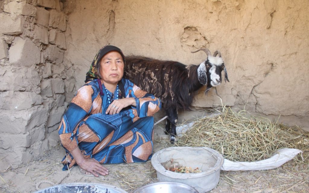 Zubaida feeding her goat.